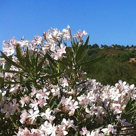Le Tre Pietre Σπίτι διακοπών *