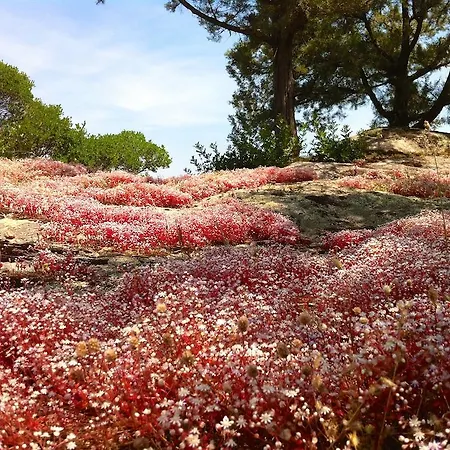 Le Tre Pietre Nyaraló